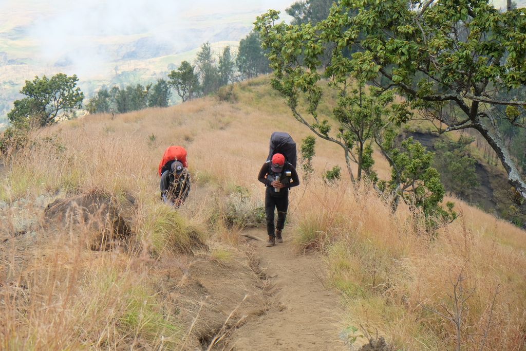 Para pendaki Gunung Rinjani melewati tanjakan di kawasan Cemara Siu, jalur pendakian Sembalun, Lombok Timur, NTB, Minggu (6/9/2020).
