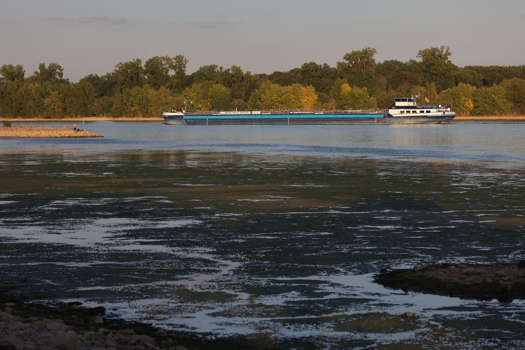 Sebuah kapal tunda berlayar menyusuri Sungai Rhine di wilayah Oestrich Winket, bagian barat Jerman, Jumat (12/8/2022). Ketinggian permukaan air di Sungai Rhine menurun drastis, menyebabkan kapal logistik bertonase besar kesulitan melintasi sungai ini. 