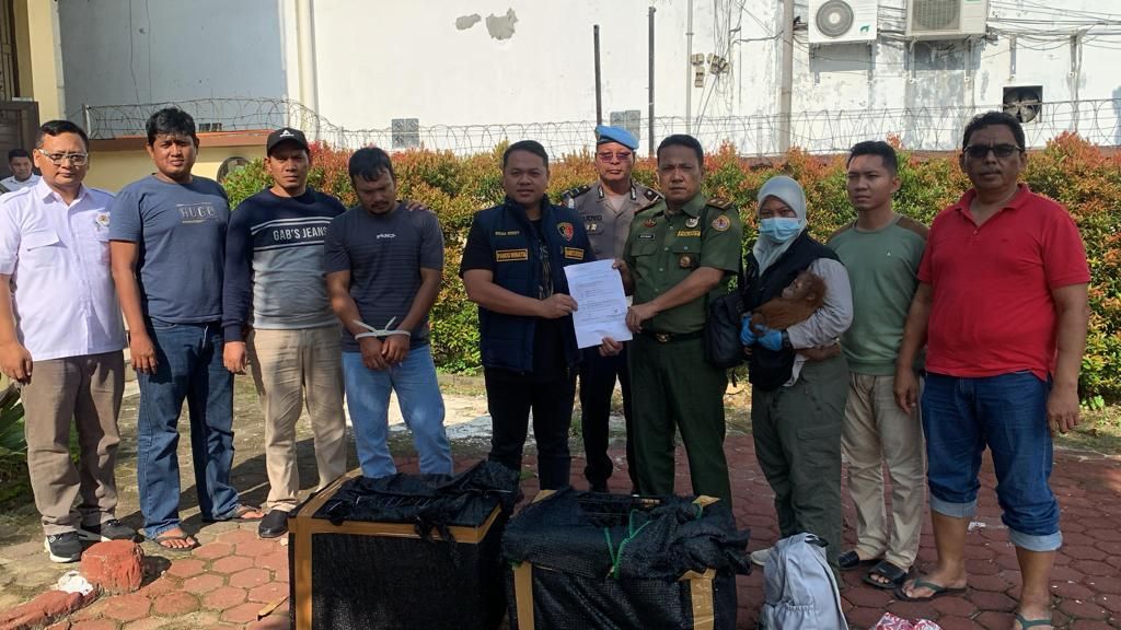 Petugas dari Kepolisian Daerah Sumatera Utara dan Balai Besar Taman Nasional Gunung Leuser menunjukkan tersangka kasus perdagangan orangutan (keempat dari kiri) di Medan, Rabu (27/9/2023).