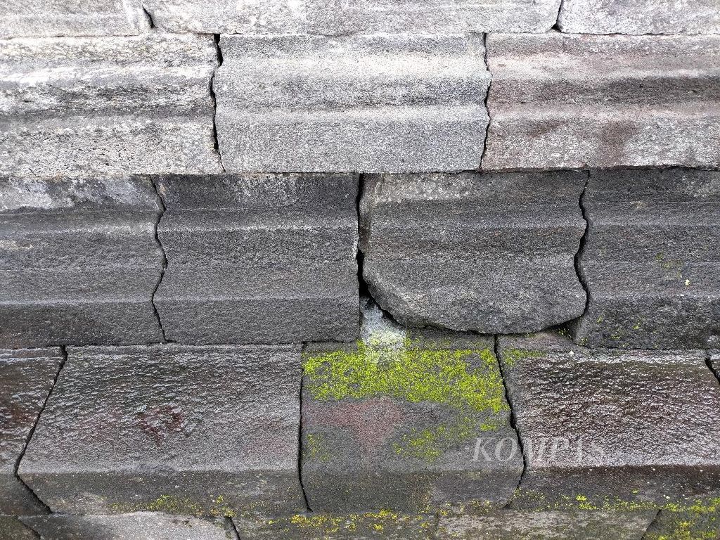 Lumut biasa muncul pada permukaan batuan candi yang lembap, basah karena hujan atau adanya rembesan air, seperti terlihat pada sebagian batu Candi Borobudur, Kabupaten Magelang, Jawa Tengah, Selasa (21/6/2022)
