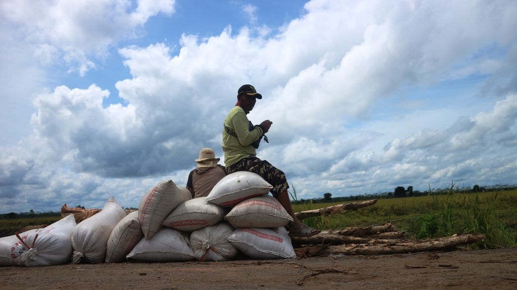 Seorang petani di Desa Belanti Siam, Kabupaten Pulang Pisau, Kalimantan Tengah, pada Jumat (29/1/2021) duduk di atas karung-karung gabah kering hasil panen di lokasi lumbung pangan. Hasil panen kali ini jauh dari harapan petani.