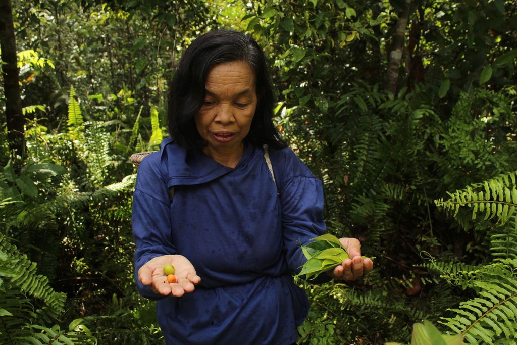 Marta Lisa (60), Ketua RT 001 Kelurahan Bukit Sua, Kota Palangkaraya, menunjukkan beberapa jenis sayuran dan buah hutan yang merupakan pangan lokal Dayak, Kamis (17/2/2022).