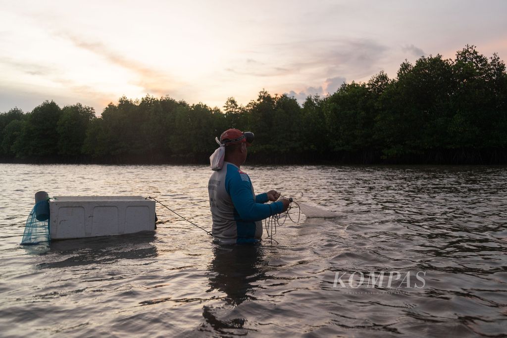 Nelayan menarik jaring udang di kawasan Rehabilitasi Hutan dan Lahan (RHL) Tanjung Piayu, Batam, Kepulauan Riau, Senin (21/2/2022).
