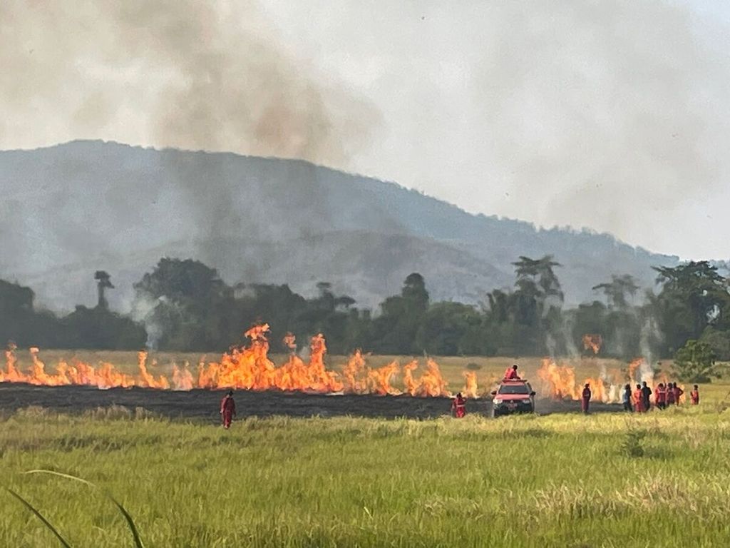 Petugas berusaha memadamkan kebakaran lahan di area Taman Nasional Rawa Aopa Watumohai, di Lantari Jaya, Bombana, Sulawesi Tenggara, Senin (30/10/2023). Puluhan hektar lahan yang terbakar menambah catatan kebakaran yang mencapai lebih dari 1.600 hektar di TNRAW pada 2023.