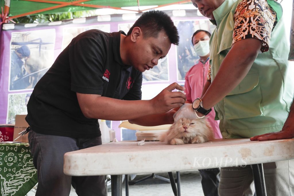 Para petugas dari Pusat Kesehatan Hewan Dinas Ketahanan Pangan, Pertanian, dan Perikanan Kota Tangerang Selatan melakukan vaksin rabies gratis kepada hewan peliharaan di Setu, Tangerang Selatan, Banten, Kamis (12/9/2019). 