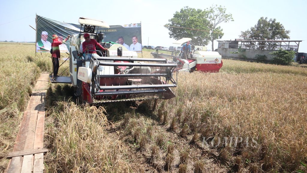Buruh tani mengoperasikan mesin panen <i>combine</i> saat panen padi di Desa Jagapura Kulon, Kecamatan Gegesik, Kabupaten Cirebon, Jawa Barat, Senin (15/5/2023). Harga gabah kering panen di tingkat petani di wilayah itu berkisar Rp 5.000-Rp 5.400 per kilogram. Meski harga itu di atas harga pembelian pemerintah, sejumlah petani mengeluhkan penurunan produksi akibat banjir, masalah pengairan, dan hama tikus.