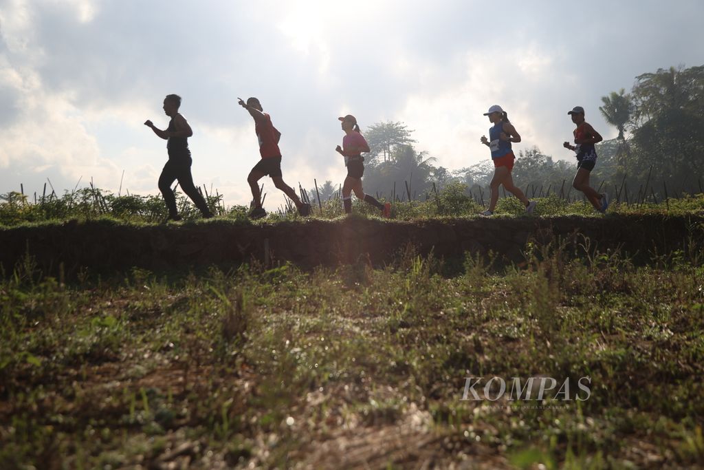 Pelari melintasi persawahan dalam ajang Borobudur Marathon 2023 Powered by Bank Jateng di kompleks Candi Borobudur, Magelang, Jawa Tengah, Minggu (19/11/2023).