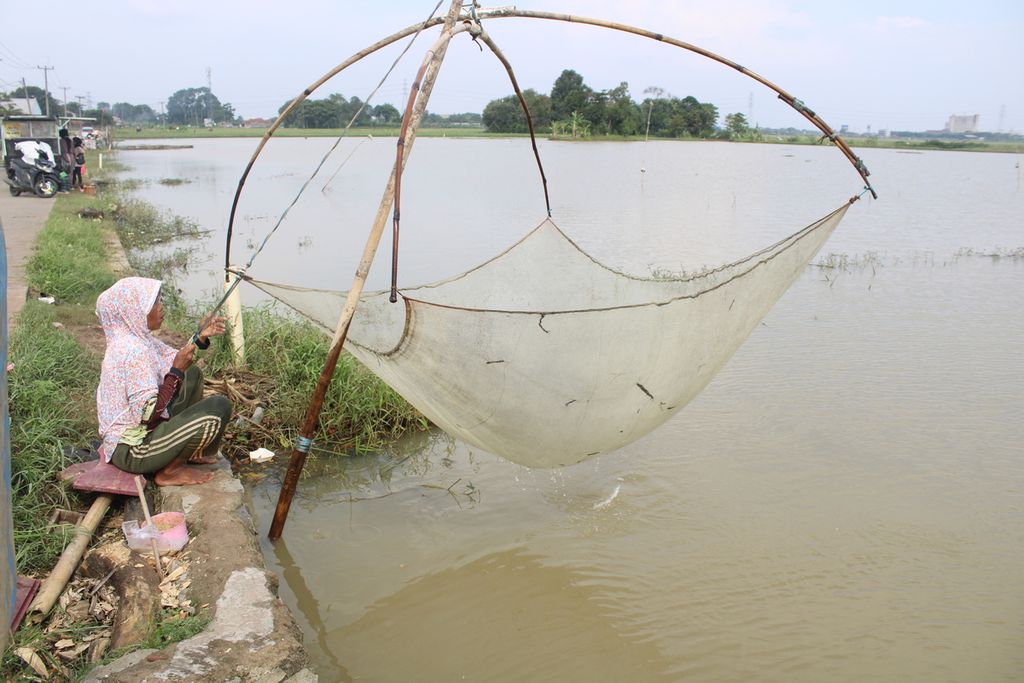 Salah satu warga menjaring ikan di area sawah yang tergenang banjir di Desa Karangligar, Kecamatan Telukjambe Barat, Karawang, Jawa Barat, Senin (18/3/2024). 