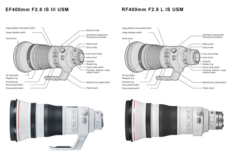 Komparasi lensa Canon RF400mm f/2.8L IS USM yang digunakan pada kamera <i>mirrorless </i>Canon seri R dengan Lensa EF400 f/2.8 IS III USM untuk kamera DSLR Canon. 