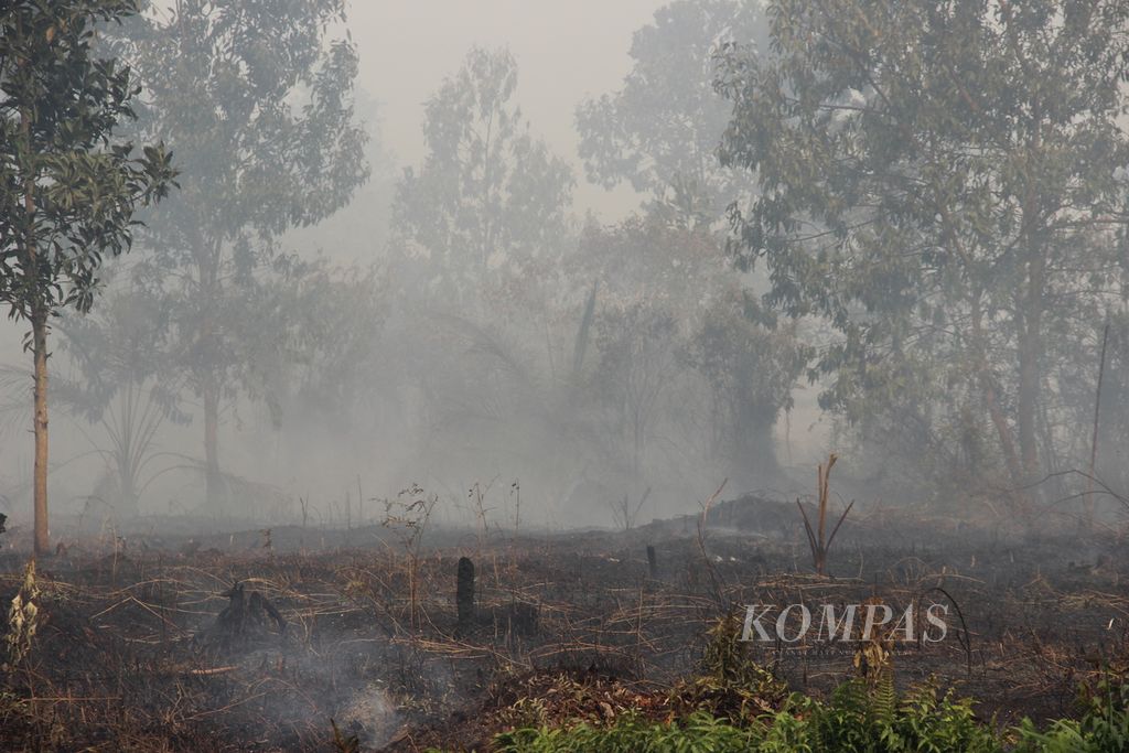 Salah satu lokasi lahan gambut yang terbakar di Kecamatan Sungai Raya, Kabupaten Kubu Raya, Kalimantan Barat, Rabu (16/8/2023).