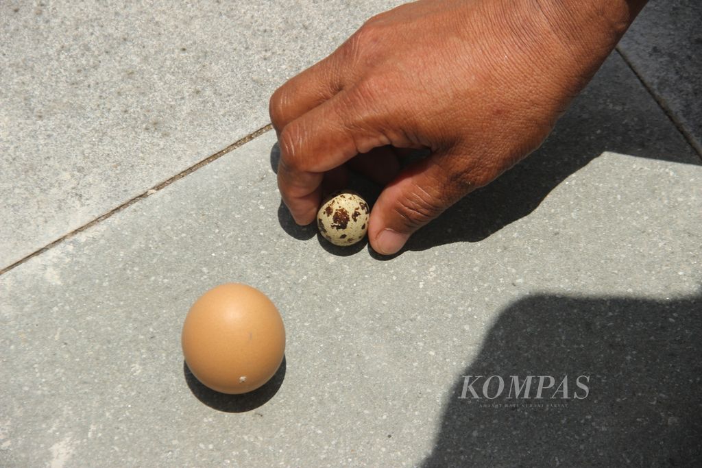 Pengunjung mendirikan telur saat kulminasi matahari di kawasan Tugu Khatulistiwa Pontianak, Kecamatan Pontianak Utara, Kalimantan Barat, Senin (21/3/2022).