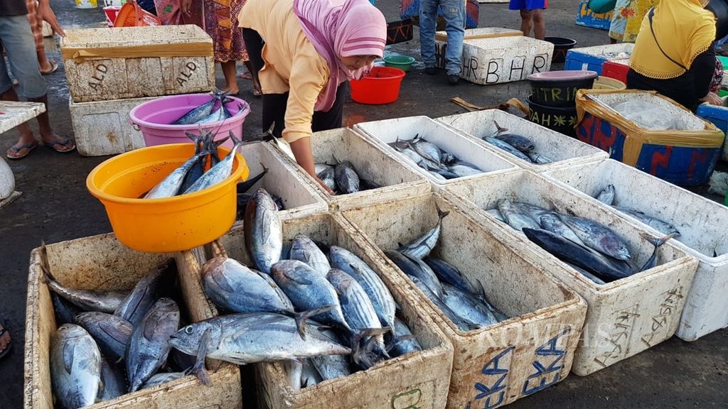 Tempat pelelangan ikan Desa Tanjung Luar, Lombok Timur, Nusa Tenggara Barat, menyuplai kebutuhan konsumsi ikan hampir seluruh Pulau Lombok. Namun, melimpahnya sumber ikan di NTB berbanding terbalik dengan rendahnya tingkat konsumsi ikan.