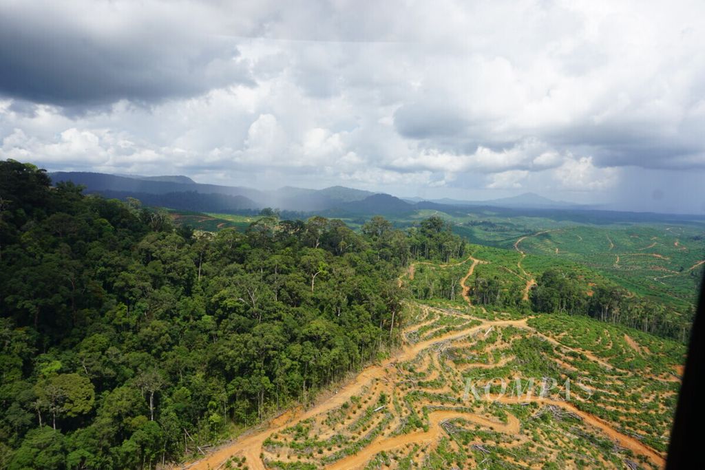 Kawasan hutan adat di Kinpan yang dialihfungsikan menjadi perkebunan sawit, di Kabupaten Lamandau, Kalimantan Tengah, Rabu (9/9/2020).