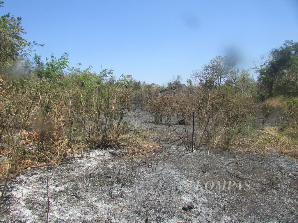 Kebakaran hutan lindung dengan tujuan tertentu Oelsonbai, Jumat (15/9/2023). Kebakaran khusus terjadi pada padang sabana diselingi pepohonan. Diperkirakan luas kebakaran itu 5 hektar dari total kawasan 20 hektar lebih.