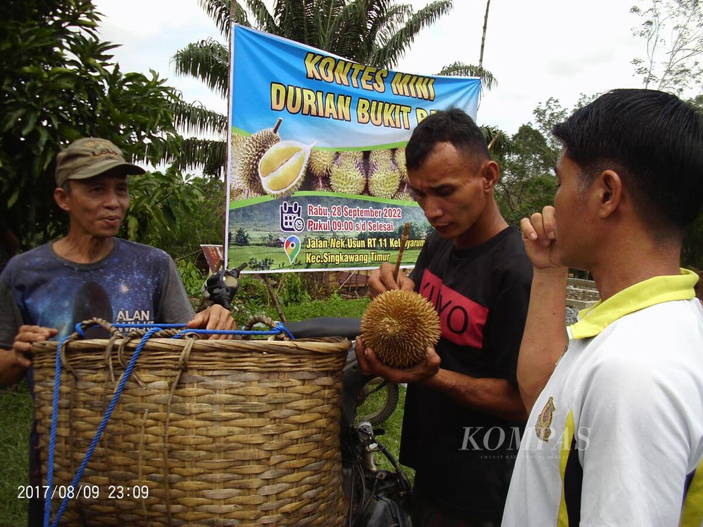 Warga membawa durian ke lokasi Festival Durian di salah satu kampung yang terletak di Kecamatan Singkawang Timur, Kota Singkawang, Kalimantan Barat, Rabu (28/9/2022).