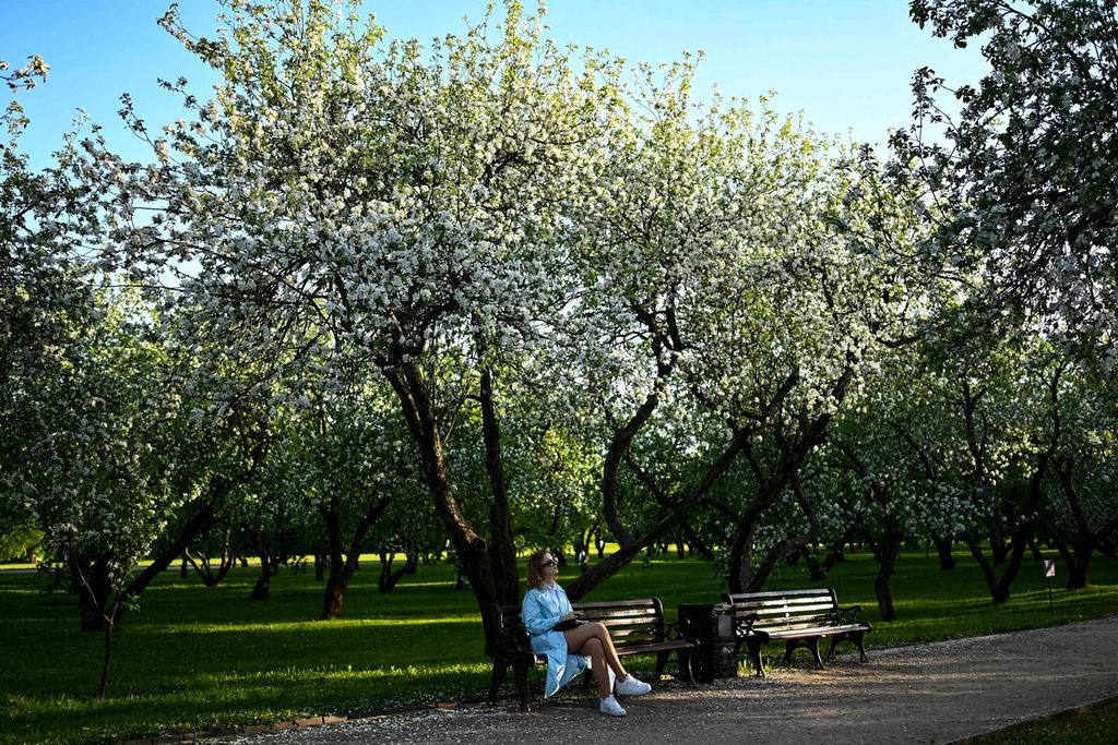 Seorang perempuan duduk di kursi di Taman Kolomenskoye, Moskwa, Rusia, Selasa (16/5/2023). 