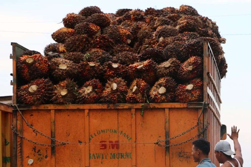 Truk mengangkut hasil panen kelapa sawit di kawasan Aceh Tamiang, Aceh. Kelapa sawit menjadi salah satu komoditas unggulan bagi kabupaten tersebut.