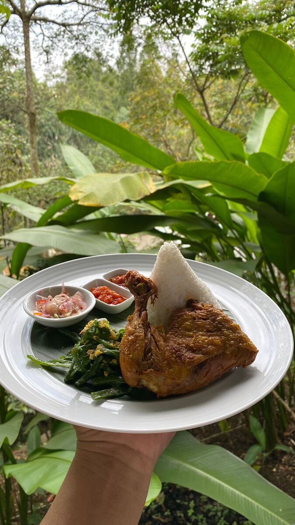 Nasi ayam/bebek krispi dengan food plating nasi tumpeng dari Laxmi Resto Bandung. 