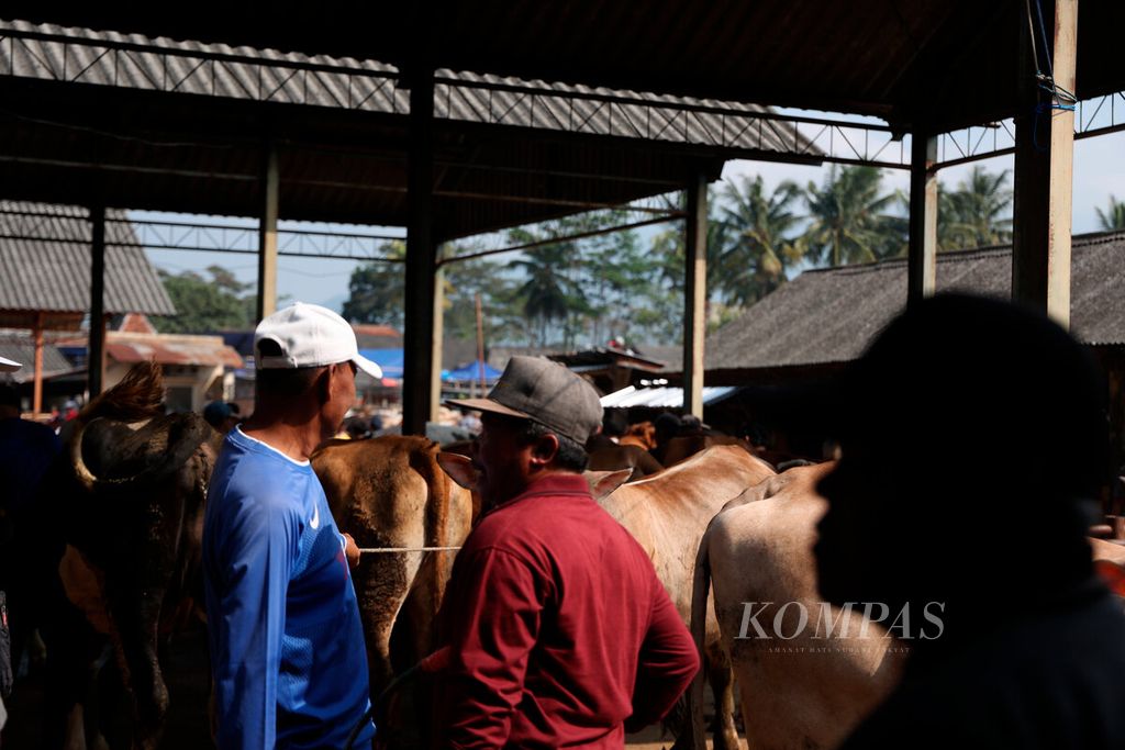 Penjual dan pembeli saat mereka bernegosiasi harga sapi di Pasar Hewan Ambarawa, Kabupaten Semarang, Jawa Tengah, Selasa (6/6/2023). 