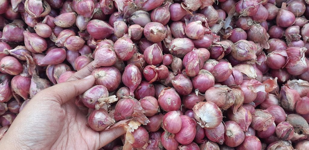Bawang merah produksi petani bawang merah asal Desa Sumbersuko, Kecamatan Dringu, Kabupaten Probolinggo yang sudah siap jual, Sabtu (7/6/2021). 