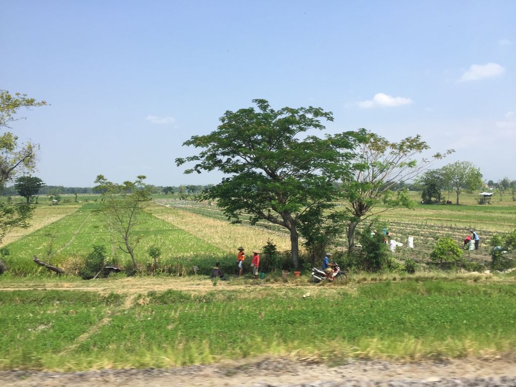 Aktivitas petani diambil dari kereta yang melintasi di Nganjuk, Jawa Timur, Juli 2023.