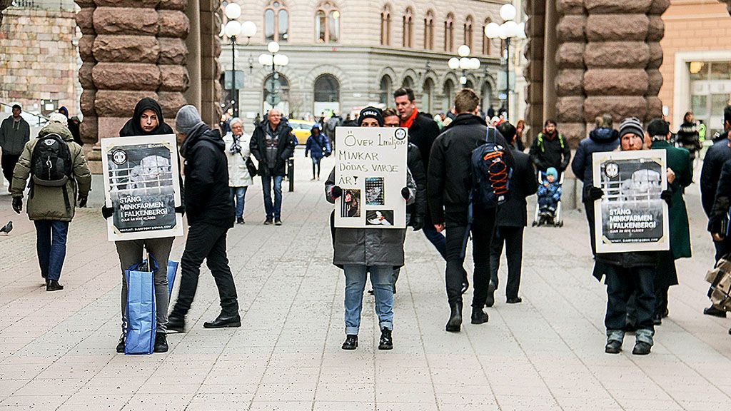 Sebanyak tiga aktivis lingkungan menyuarakan aspirasinya di kompleks Gedung Riksdag atau parlemen Swedia, Selasa (5/12), di kota Stockholm, Swedia. Penyampaian pendapat dengan cara itu merupakan hal yang jamak ditemukan di kompleks Gedung Riksdag.