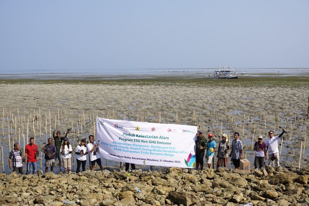 PLN Flores bersama STPM Santa Ursula Ende dan sejumlah organisasi pegiat lingkungan melakukan potret bersama saat penanaman 2.000 anakan mangrove di Desa Nabe, Kecamatan Maukoro, Kabupaten Ende.