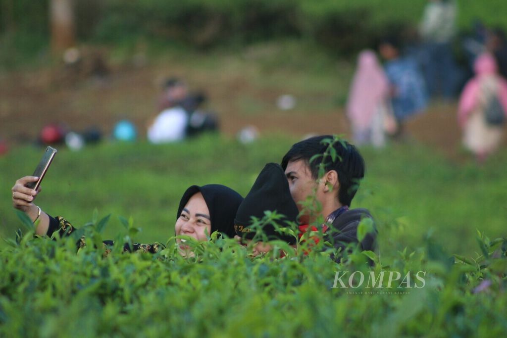 Warga berswafoto di kebun teh Ciater, Kabupaten Subang, Jawa Barat, Senin (1/6/2020). Ramainya kawasan wisata pada hari libur patut diantisipasi karena berpotensi menjadi lokasi penularan Covid-19.  