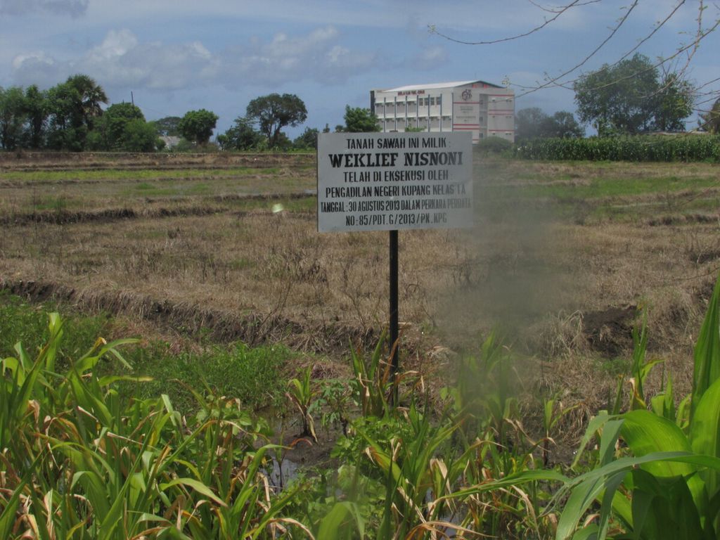 Sebuah plang bertulisan kepemilikan lahan pertanian di Oepura, Senin (9/1/2023). Plang ini dipasang setelah pengusaha setempat membeli dari petani. Rencananya di atas lahan ini dibangun pusat mini market.