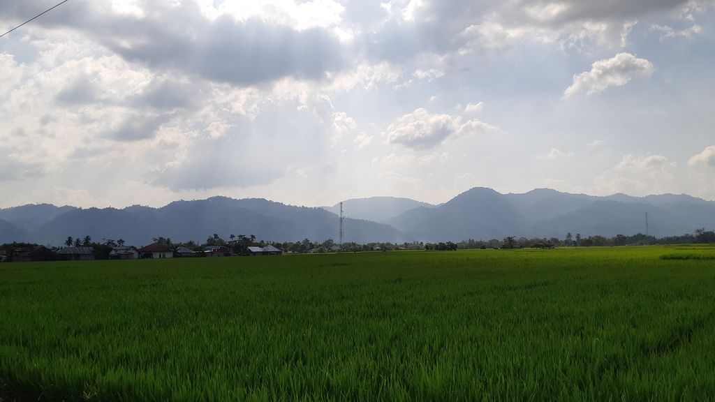 https://cdn-assetd.kompas.id/pdj-Thpa2qctBe_3WYWDyX8F5ko=/1024x576/https%3A%2F%2Fkompas.id%2Fwp-content%2Fuploads%2F2020%2F03%2F68ddd54c-991e-436c-b46b-20153969cfd6_jpg.jpg