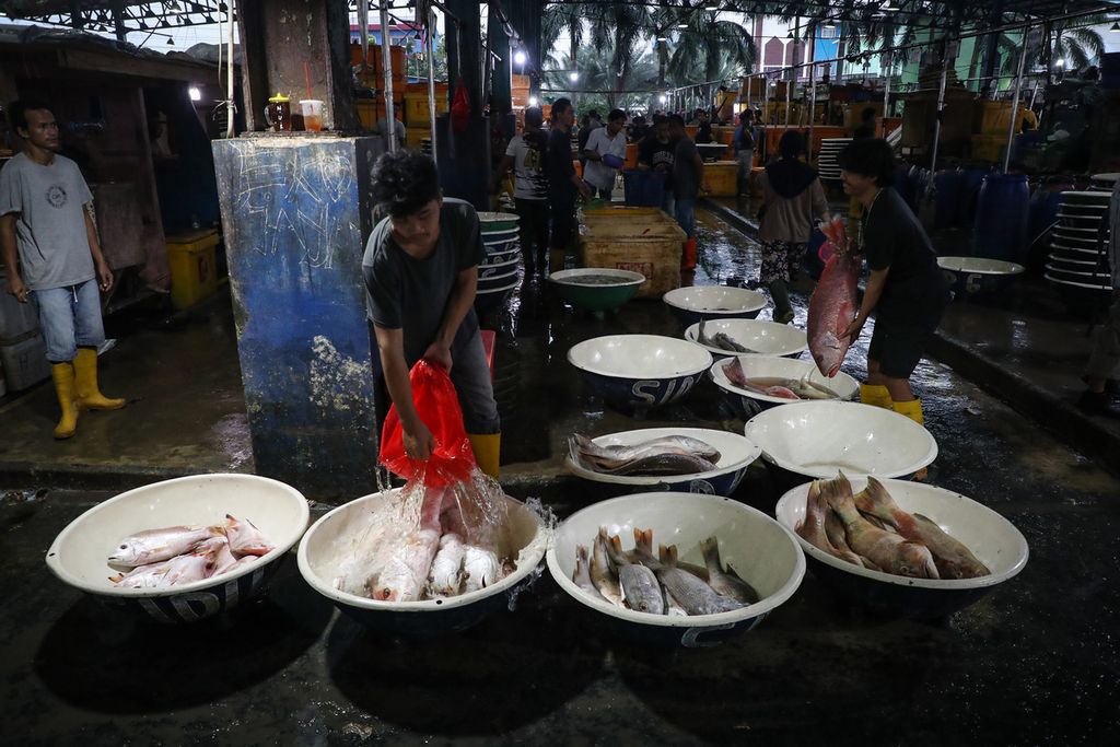 Pedagang memilah ikan laut di Pasar Ikan Grosir Muara Angke, Jakarta Utara, Minggu (4/6/2023). Pasar Ikan Grosir Muara Angke menjadi salah satu tujuan pembeli yang ingin mencari hasil tangkapan laut dalam jumlah besar dan harga yang murah. Selain ikan laut, pasar ini juga menjual udang, cumi-cumi, kerang, dan belut. Pembeli biasa memadati pasar ini pada malam hari setelah pasokan ikan dan hasil tangkapan laut lainnya berdatangan. 