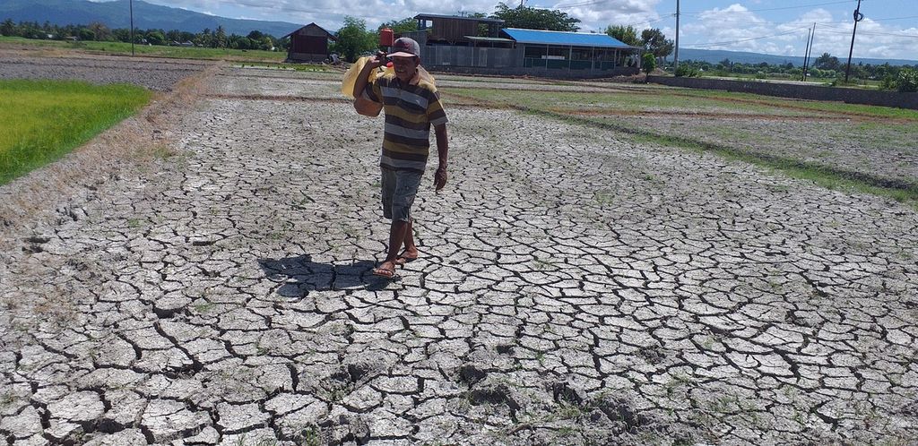 Crop failure caused by drought has led to food insecurity in North Central Timor, which in turn has resulted in malnutrition, March 2020.
