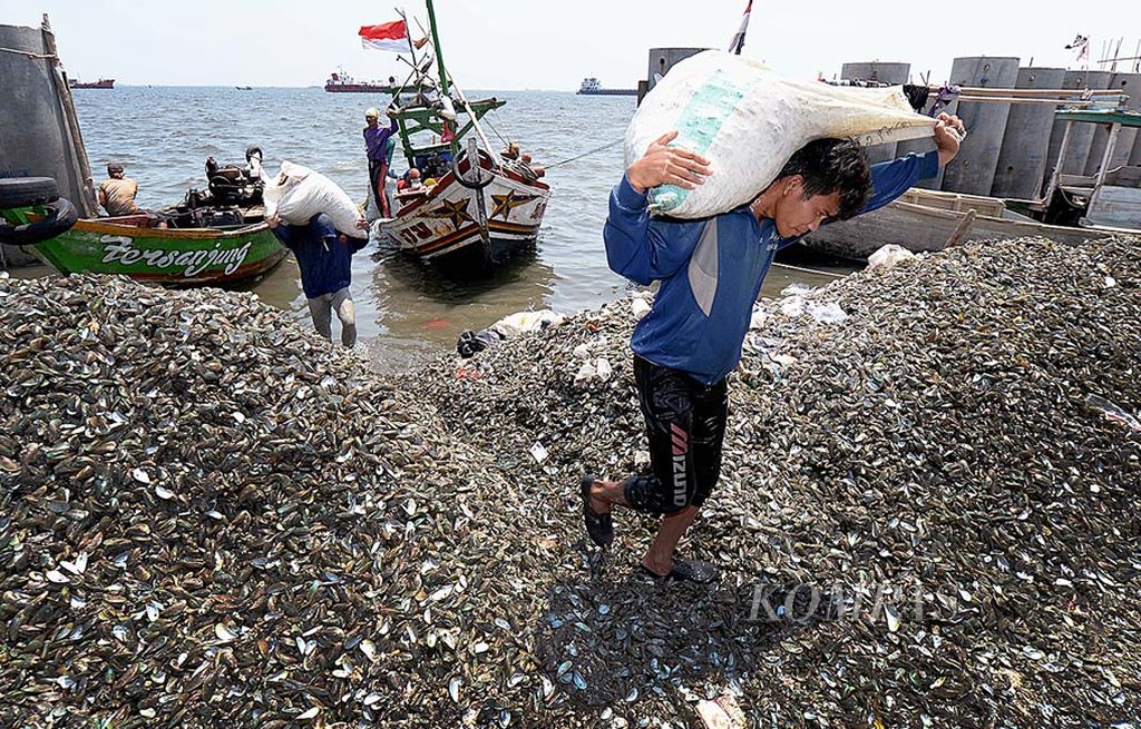 Nelayan mengangkut hasil panen kerang hijau di kawasan Teluk Jakarta, Kali Baru, Cilincing, Jakarta Utara, Jumat (8/9). Pencemaran laut, termasuk di perairan Teluk Jakarta dari limbah industri,  rumah tangga, dan plastik, sangat merugikan kehidupan nelayan.
