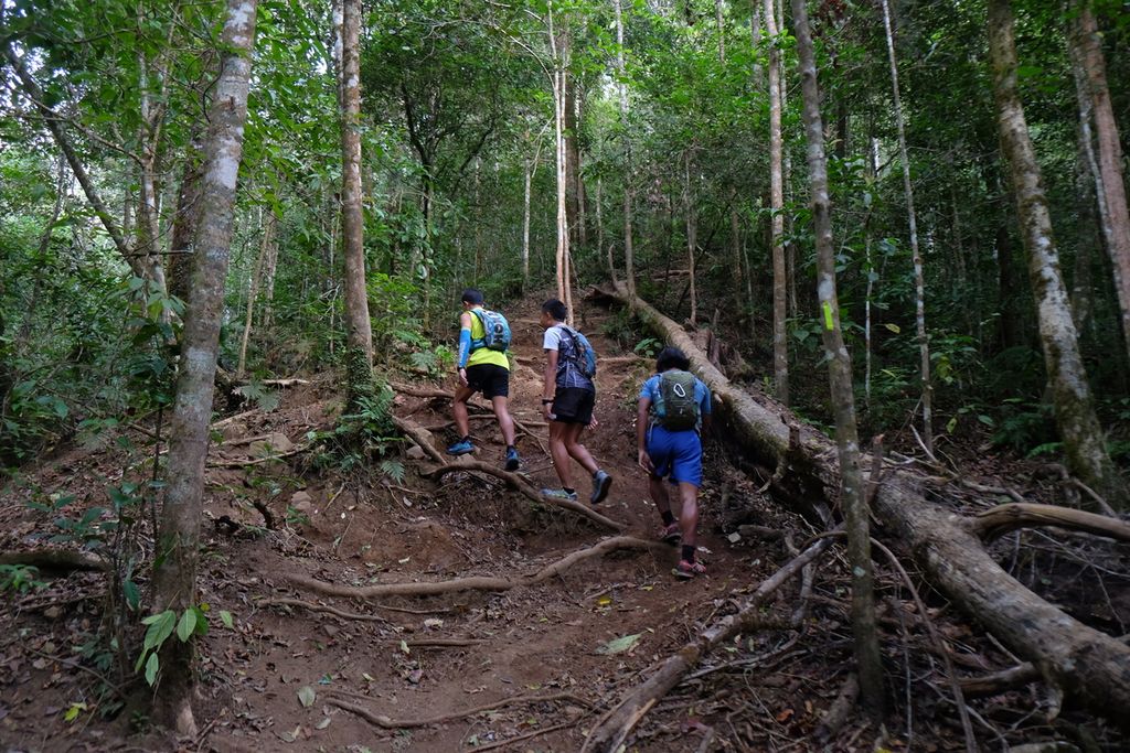 Sejumlah pehobi lari trail asal Lombok yang mengikuti Effort Challenge 2020 yang diselenggarakan Trail Running Connect, dengan menaiki perbukitan di kawasan Savana Propok, Desa Bebidas, Kecamatan Wanasaba, Lombok Timur, Nusa Tenggara Barat, Sabtu (28/8/2020). Effort Challenge 2020 merupakan lomba lari trail yang berlangsung selama 28 hari dan diikuti hampir 200 pelari dari seluruh wilayah Indonesia.