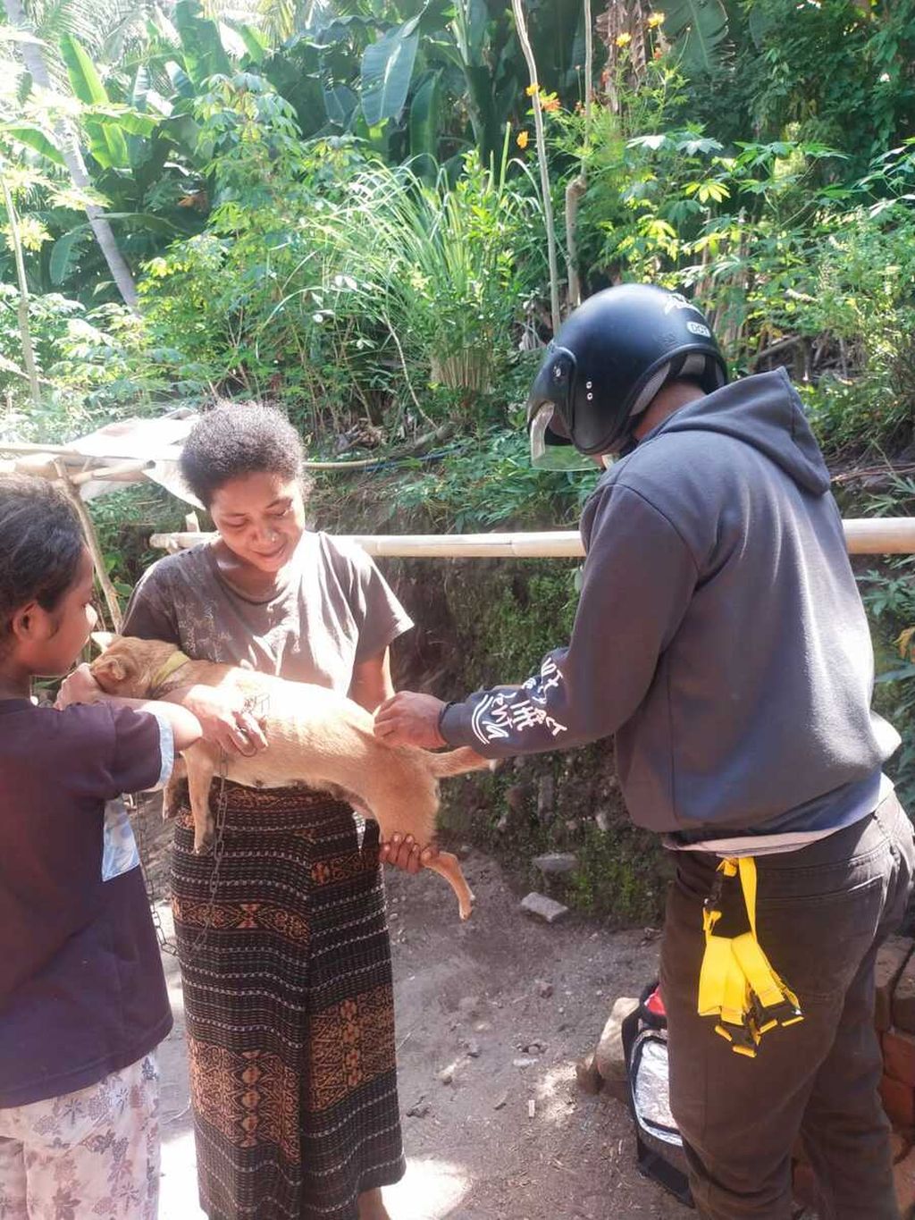Seorang warga Sikka, Nita, menggendong anjingnya agar bisa divaksin petugas dari Dinas Pertanian dan Peternakan Sikka, Senin (22/5/2023). Vaksinasi anjing gencar dilakukan.