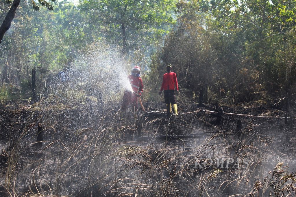 Petugas gabungan di Kota Palangkaraya, Kalimantan Tengah, berjibaku memadamkan api yang melahap lahan di Jalan Matal, Kecamatan Sabangau, Kota Palangkaraya, Minggu (13/8/2023). 
