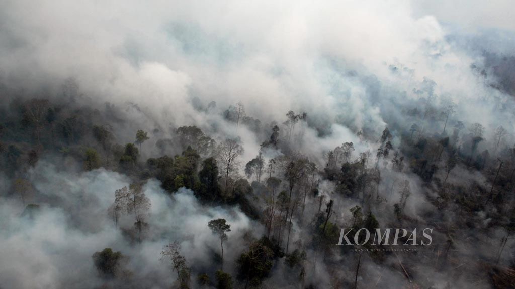 Kebakaran sudah tiga pekan ini melahap vegetasi Taman Nasional Berbak Sembilang di Kabupaten Tanjung Jabung Timur, Jambi. Hingga Senin (21/10/2019), pemadaman melalui darat dan udara terus diupayakan tim gabungan.