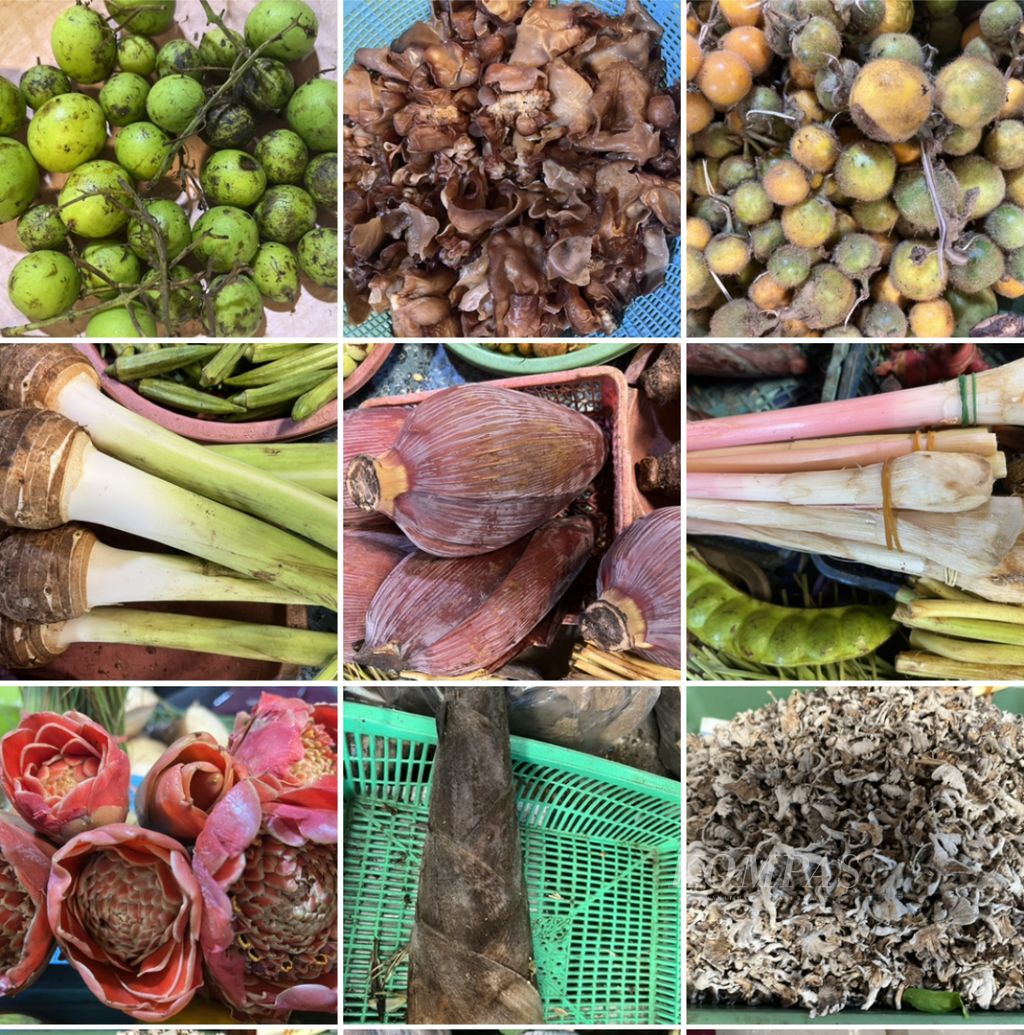 Aneka jenis sayuran dan jamur yang biasa dikonsumsi masyarakat Dayak Ngaju di Kalimantan Tengah. Keberagaman sumber pangan menjadi pola diet tradisional masyarakat Dayak, tetapi belakangan semakin menurun. 