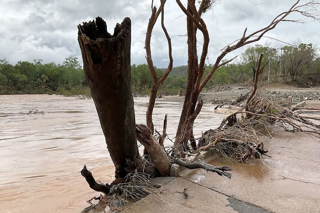 Dalam foto yang dirilis oleh Kepolisian Queensland pada Rabu (20/12/2023) tampak batang pohon tumbang yang terbawa banjir bandang tersangkut di sebuah badan jembatan yang telah rusak di jalan raya Mulligan, Cooktown. 