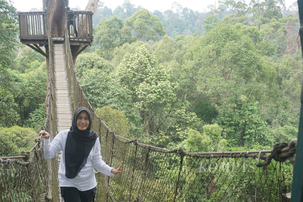 Pengunjung melintasi jembatan gantung di atas pohon di obyek wisata alam Bukit Bangkirai, Kutai Kartanegara, Kalimantan Timur, Sabtu (19/8/2023). Sejumlah pengunjung ini mengikuti Kemah Konservasi yang diadakan Otorita Ibu Kota Nusantara pada 18-20 Agustus 2023.