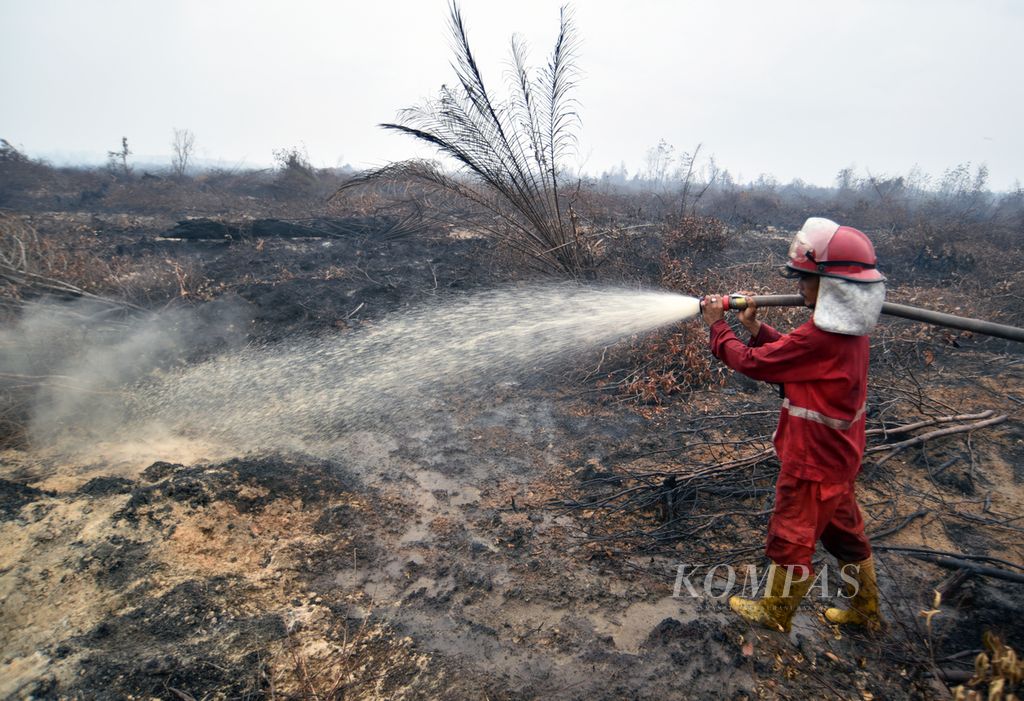 Pasukan Manggala Agni memadamkan kebakaran lahan gambut di kawasan perkebunan PT Waringin Agro Jaya y di Desa Jungkal, Kecamatan Pampangan, Kabupaten Ogan Komering Ilir, Sumatera Selatan, Selasa (7/11/2023). 