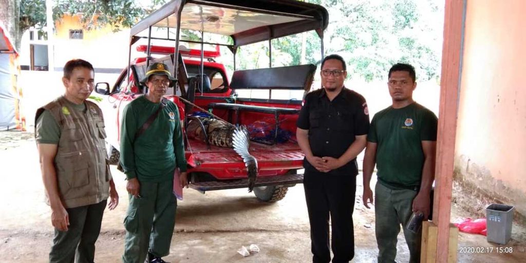Seekor buaya muara dengan panjang 3,5 meter yang ditangkap oleh warga di Desa Tapuwatu, Konawe Utara, Sulawesi Tenggara, telah diserahkan ke BKSDA Sultra, Senin (17/2/2020). 