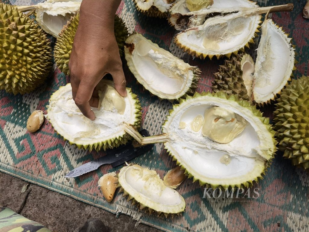 Durian Kekait