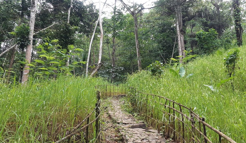 Padi huma ditanam di perkampungan Baduy Luar, Desa Kanekes, Kecamatan Leuwidamar, Kabupaten Lebak, Banten, Sabtu (10/2/2024). Hasil panen padi huma akan disimpan di <i>leuit</i>.