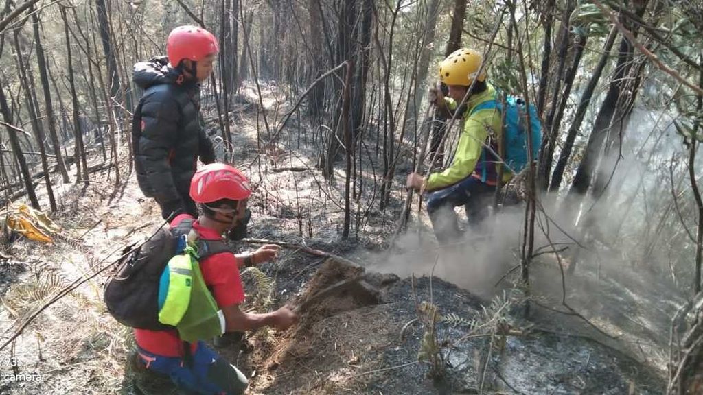 Tim tengah memadamkan kebakaran lahan dan hutan di Gunung Kawi di Kabupaten Malang, Jawa Timur, Rabu (8/11/2023).
