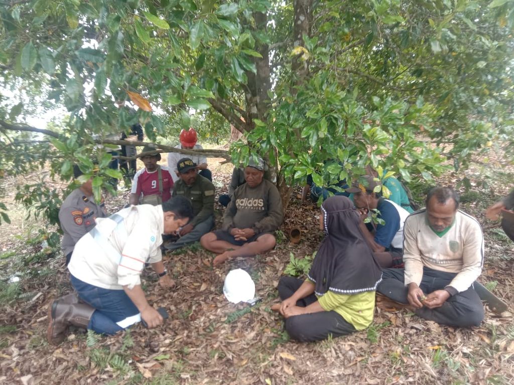 Warga bertahan di bawah pohon cengkeh yang tersisa setelah puluhan pohon diterjang perusahaan di Wawonii Tenggara, Konawe Kepulauan, Kamis (10/8/2023). Konflik antara warga dan perusahaan pertambangan nikel PT Gema Kreasi Perdana di wilayah ini terus terulang.