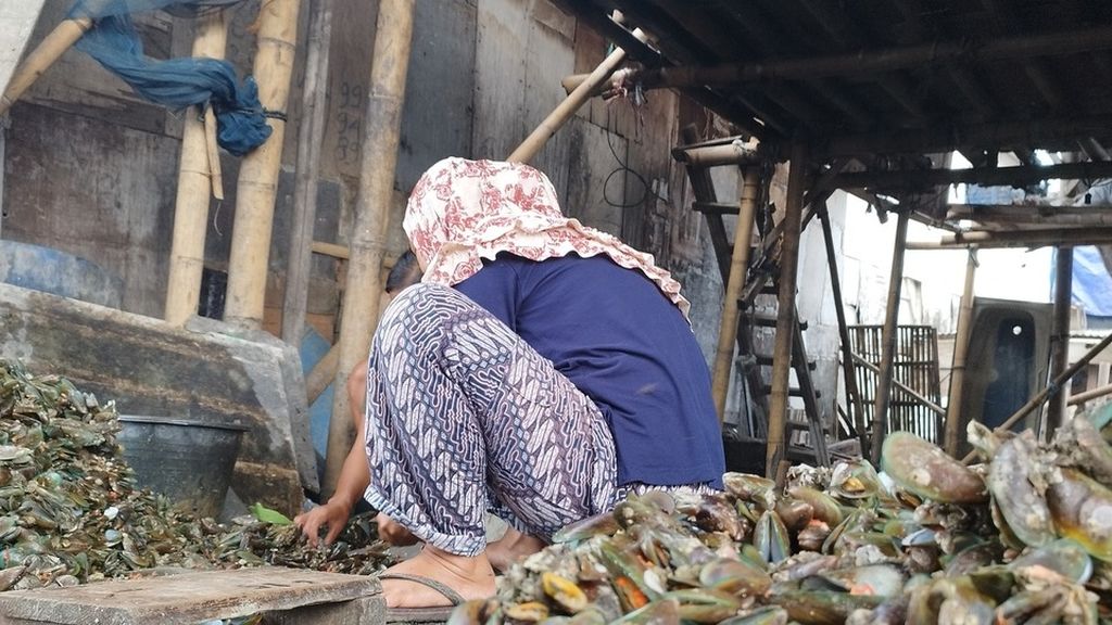 Nelayan pengupas kerang hijau di RT 006 RW 022, Kelurahan Pluit, Kecamatan Penjaringan, Jakarta Utara, Rabu, (4/1/2023), sedang memisahkan antara daging kerang dengan cangkangnya.
