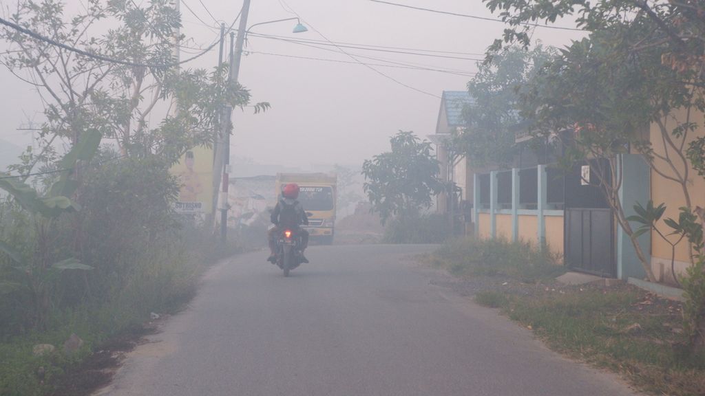 Kebakaran Hutan dan Lahan di Kalimantan Selatan Terparah Dalam Tiga Tahun Terakhir
