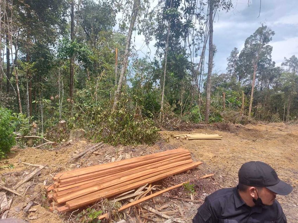 Kayu hasil pembalakan liar yang ditemukan tim patroli di hutan desa di Kenegerian Gunung Sahilan, Kecamatan Gunung Sahilan, Kampar, Riau, yang mengalami perambahan, Sabtu (4/3/2023). Hutan desa ini merupakan hutan penyangga Taman Nasional Tesso Nilo.