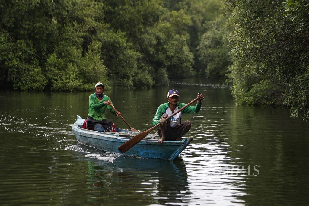 Petugas menyusuri kawasan mangrove menggunakan perahu di Taman Wisata Alam Mangrove Angke Kapuk, Jakarta, Sabtu (17/2/2024). 